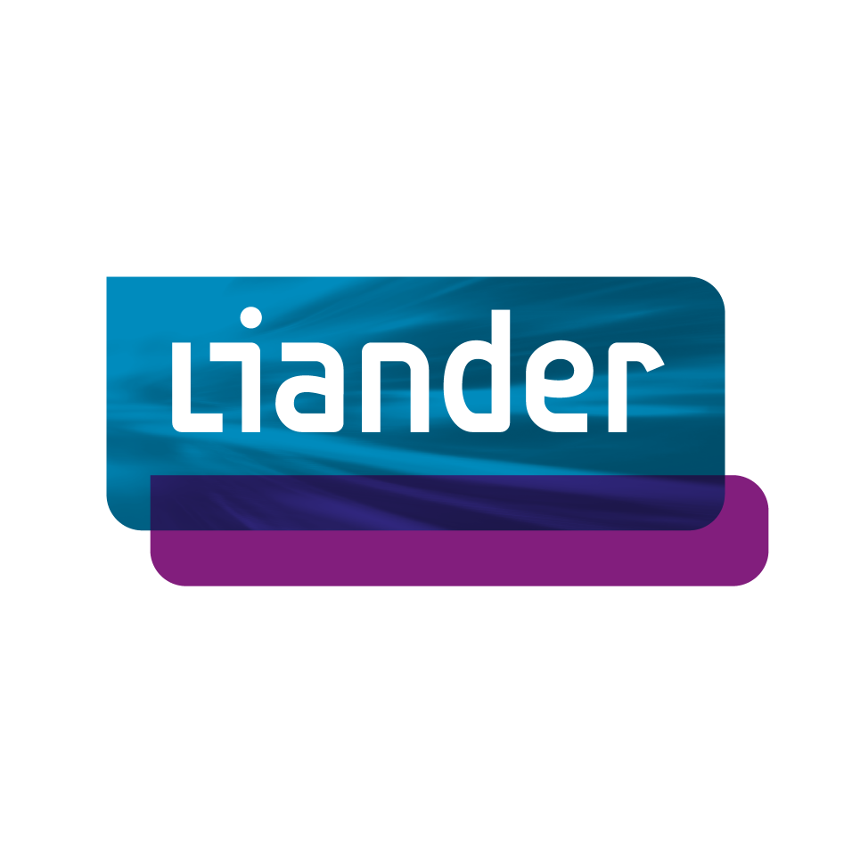 Logo 6